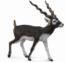 COLLECTA - Szarvas antilop