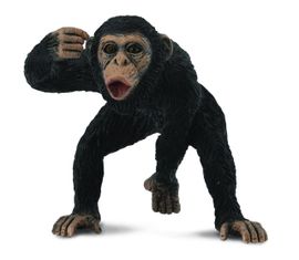 COLLECTA - Csimpánz