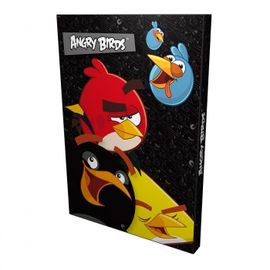 DERFORM - A4-es Angry Birds jegyzetfüzet doboz