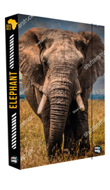 KARTON PP - Doboz füzetekhez A4 Jumbo Elephant