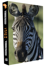 KARTON PP - Doboz füzetekhez A4 Zebra
