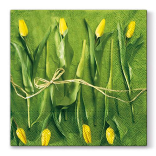PAW - Törlőkendő L 33x33cm Fresh Tulips