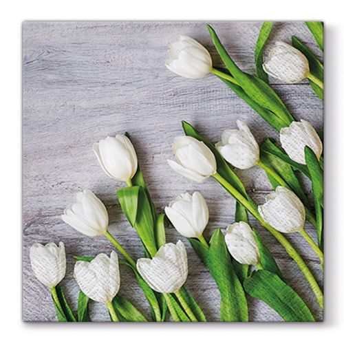 PAW - Törlőkendők L 33X33cm White Tulips