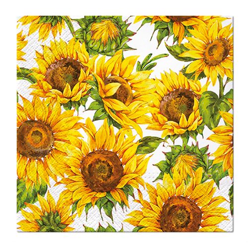 PAW - Törlőkendő R 32 cm Dancing Sunflowers