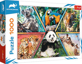 TREFL - Puzzle 1000 – Állatvilág