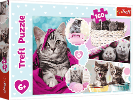 TREFL - Puzzle 160 - Imádnivaló cicák