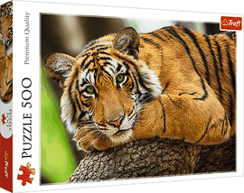 TREFL - Puzzle 500 – Egy tigris portréja